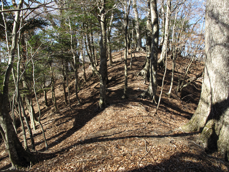 20190121hike (180)